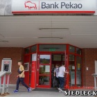 zdjęcie nr 31