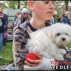 zdjęcie nr 120
