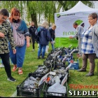 zdjęcie nr 121