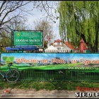 zdjęcie nr 138