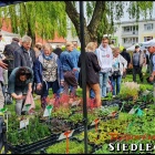 zdjęcie nr 140