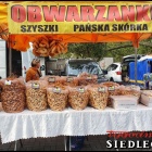 zdjęcie nr 15