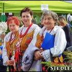 zdjęcie nr 154