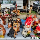 zdjęcie nr 17