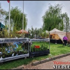 zdjęcie nr 30