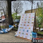 zdjęcie nr 33