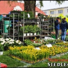 zdjęcie nr 43
