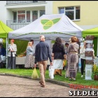 zdjęcie nr 50