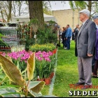 zdjęcie nr 62
