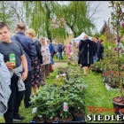 zdjęcie nr 75