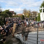 zdjęcie nr 142