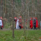 zdjęcie nr 202