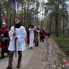 zdjęcie nr 203