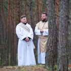 zdjęcie nr 218