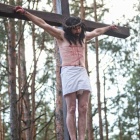 zdjęcie nr 235