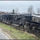 Fotka nr 2 z 4