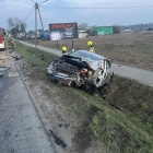 Fotka nr 4 z 13
