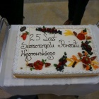 zdjęcie nr 94