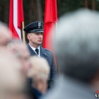 zdjęcie nr 65