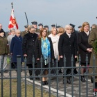 zdjęcie nr 98