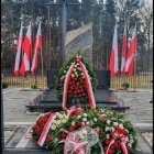 zdjęcie nr 14