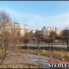 zdjęcie nr 12