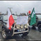 zdjęcie nr 11