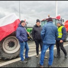 zdjęcie nr 15