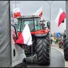 zdjęcie nr 10
