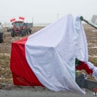 zdjęcie nr 18