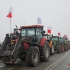 zdjęcie nr 21