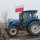 zdjęcie nr 22