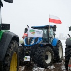 zdjęcie nr 35