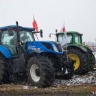 zdjęcie nr 39