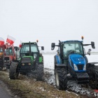 zdjęcie nr 40