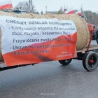 Fotka nr 2 z 6