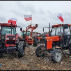 zdjęcie nr 10