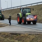 zdjęcie nr 19
