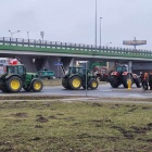 zdjęcie nr 21