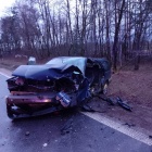 Fotka nr 3 z 5