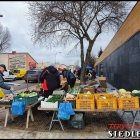 zdjęcie nr 33