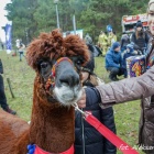 zdjęcie nr 185