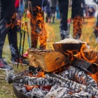 zdjęcie nr 232