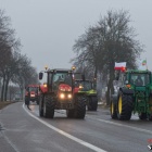 Fotka nr 5 z 9