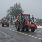 zdjęcie nr 8