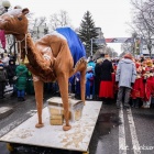 zdjęcie nr 262