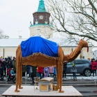 zdjęcie nr 100
