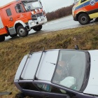 Fotka nr 1 z 2