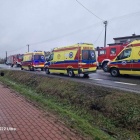 Fotka nr 2 z 77