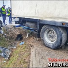 zdjęcie nr 31